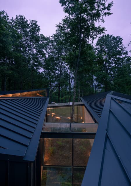 Forest House